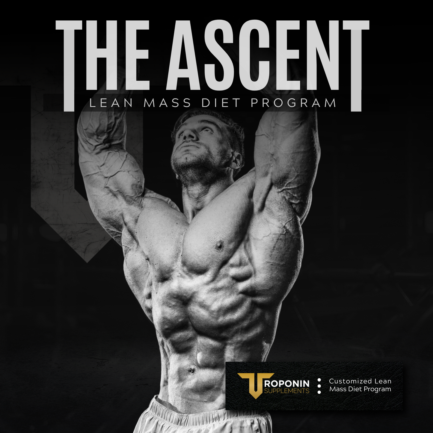 The Ascent Lean Mass Program digital product cover — structured muscle building program by Troponin Supplements